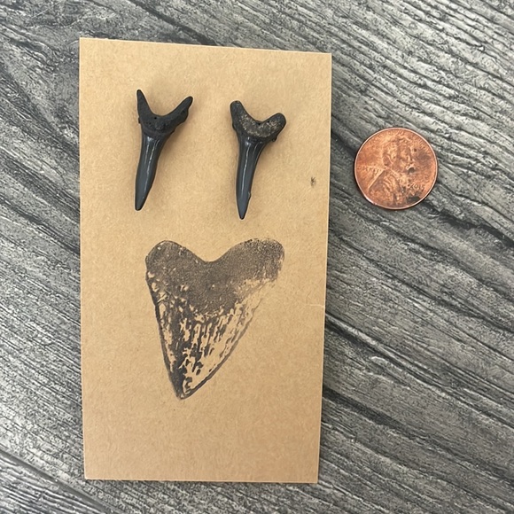 Shark Tooth Stud Earrings - Picture 3 of 3